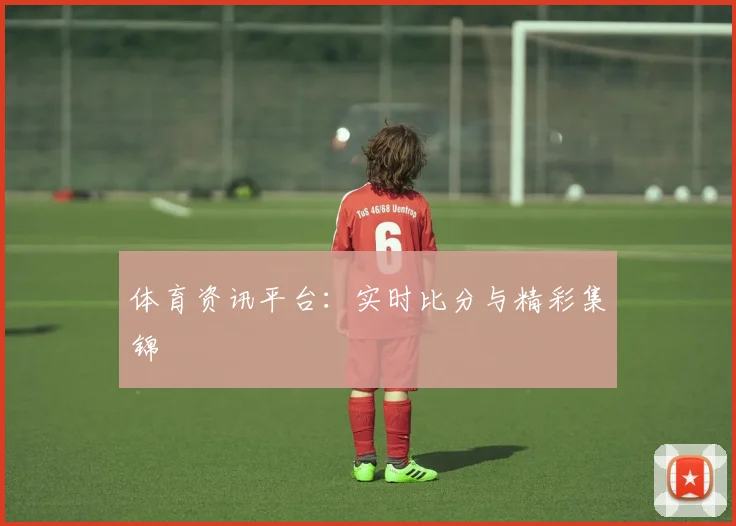 体育资讯平台：实时比分与精彩集锦